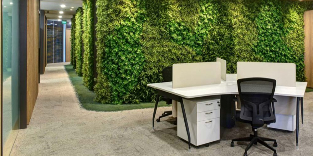 Top Vertical Garden Designs for Pune Offices | Greendeck Agro