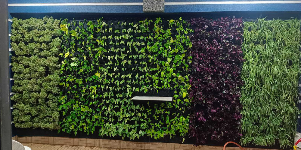 Green Walls, Greener Cities: Innovative Vertical Garden Solutions