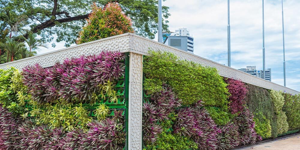 Pune’s Best Vertical Garden Designers: Bringing Nature Closer to Your Urban Space