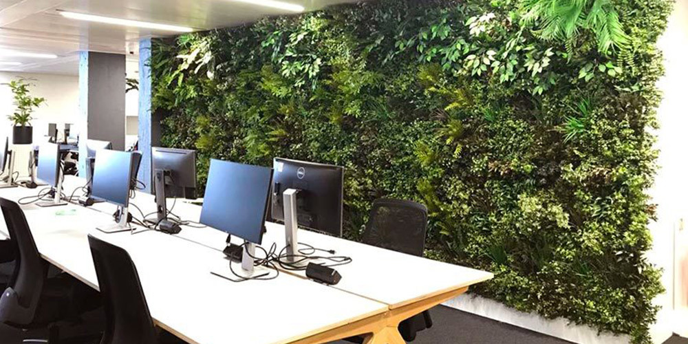 5 Tips for Choosing the Right Vertical Garden System for Your Office