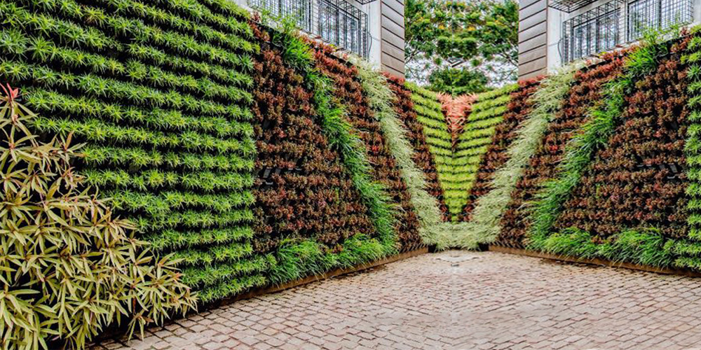 5 Reasons Why Vertical Gardens Are Your New Best Friend